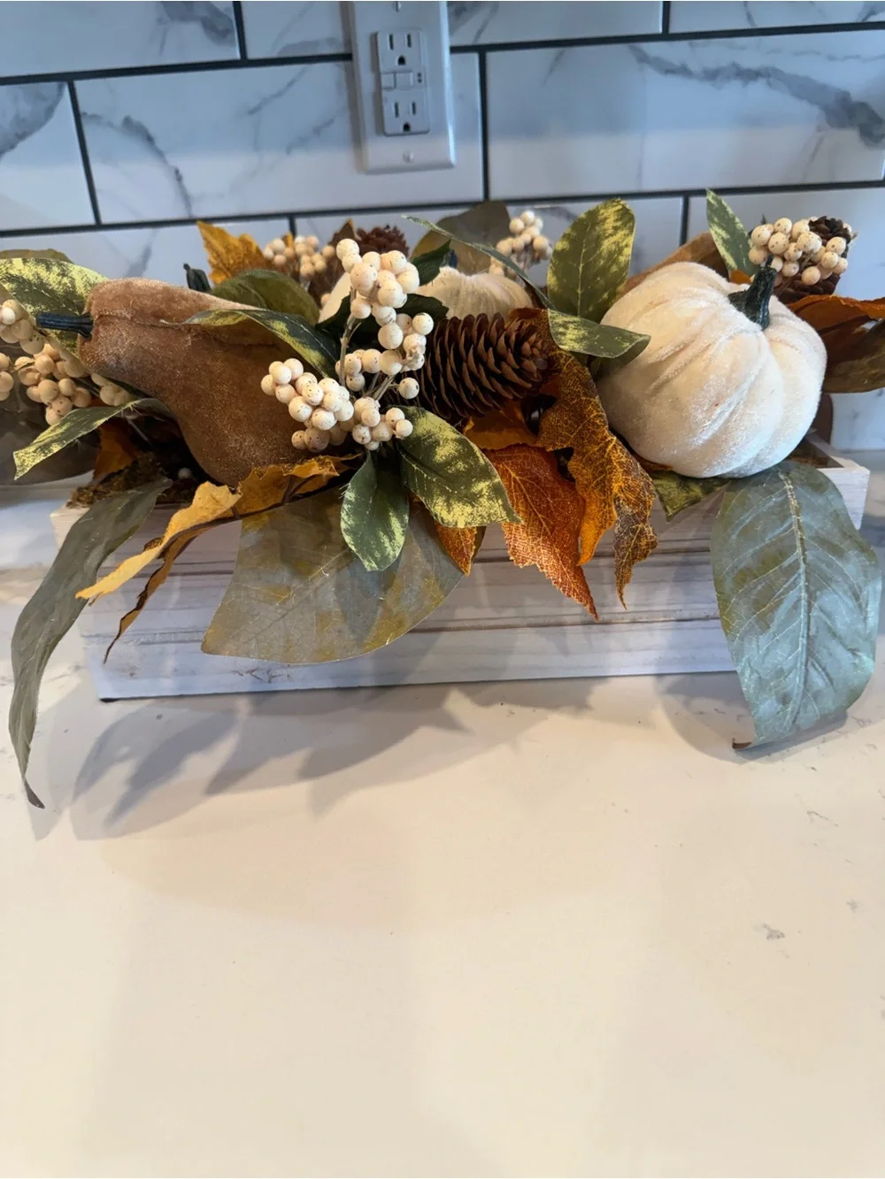 N/A elegant fall